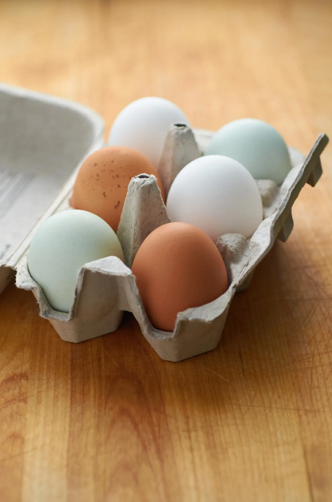Six œufs fermiers de couleurs variées dans une boîte en carton